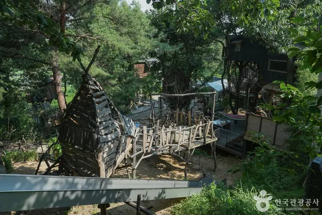 톰아저씨트리하우스 사진