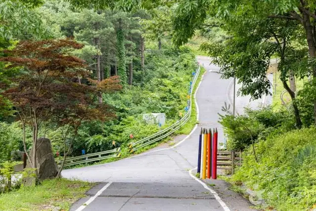 국립오서산자연휴양림 사진