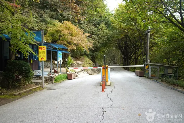치악산자연휴양림 사진