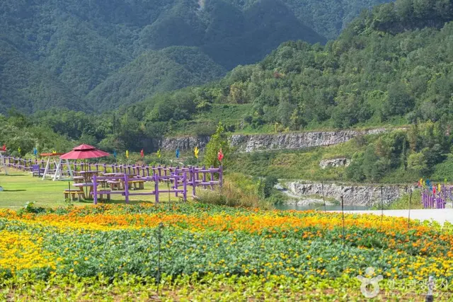 무릉별유천지 사진