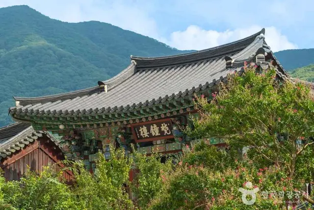 표충사 사진