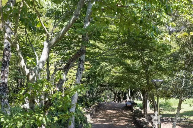 한라수목원 사진