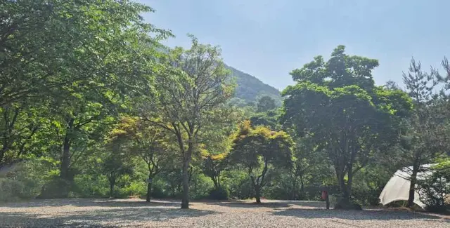덕동골캠핑장 사진