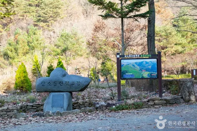 상소동 산림욕장 사진
