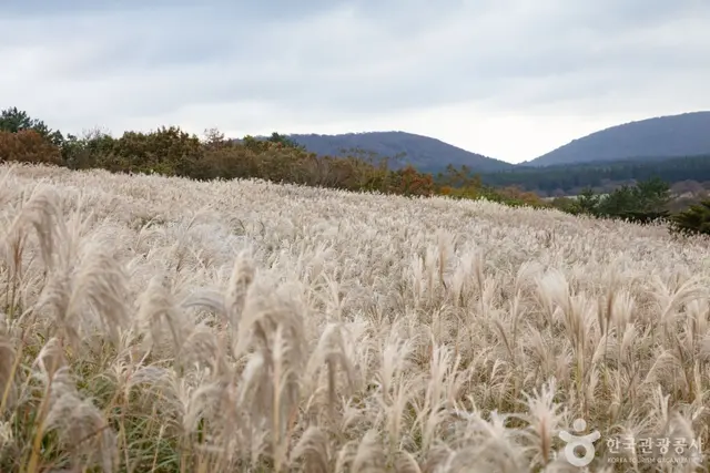 산굼부리 사진