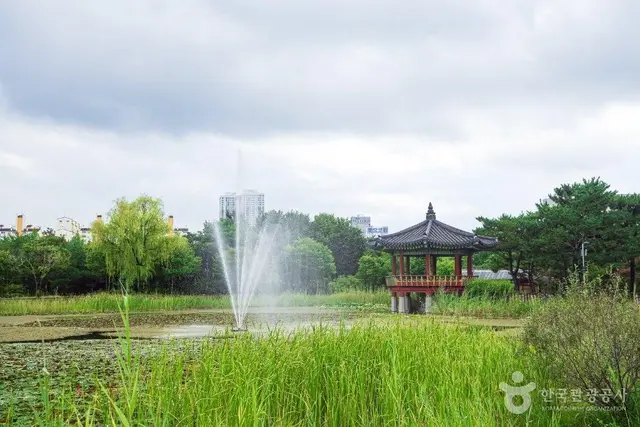 한밭수목원 사진