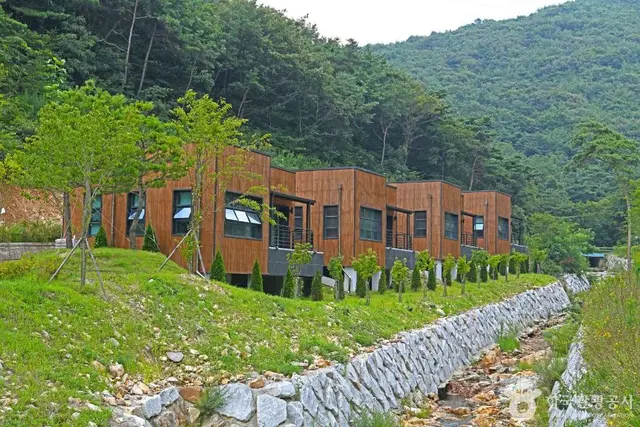 선암 자연휴양림 사진
