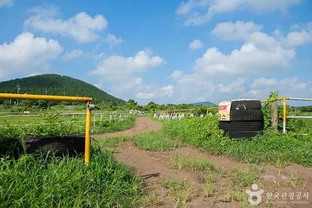 뷰 제주하늘 사진