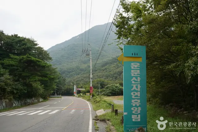 국립 운문산자연휴양림 사진