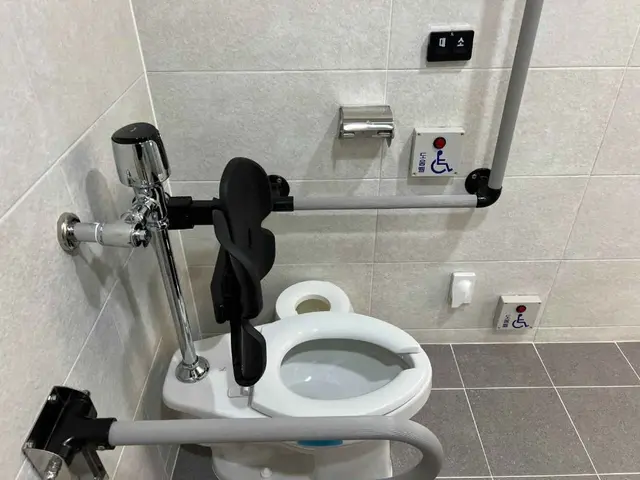 숭문대 사진