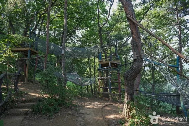 톰아저씨트리하우스 사진