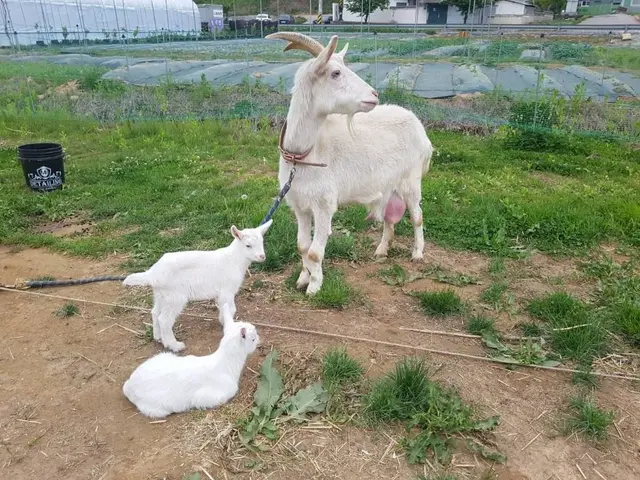 나눔농장(파주) 사진