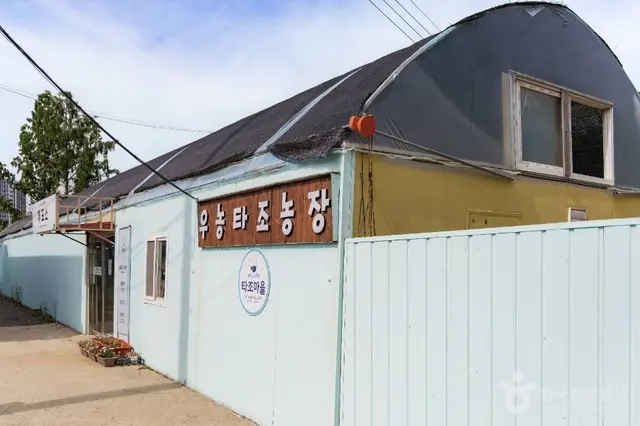 우농타조농장 사진