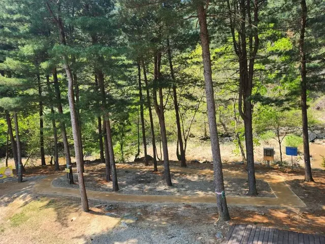 칼봉산자연휴양림 사진