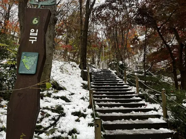 남산인권숲 사진