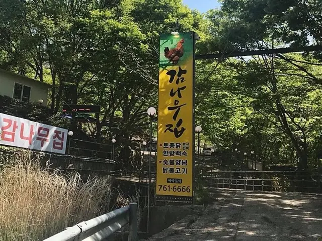 감나무집 사진