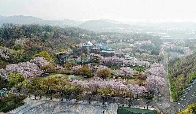 김포국제조각공원 사진