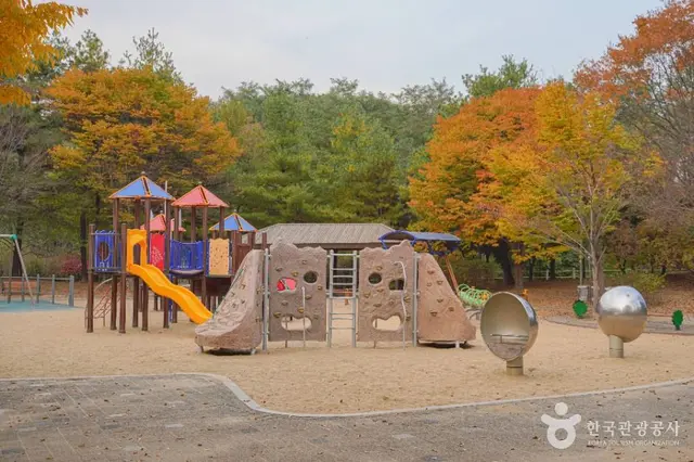 난지천공원 사진