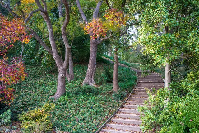 천리포수목원 사진