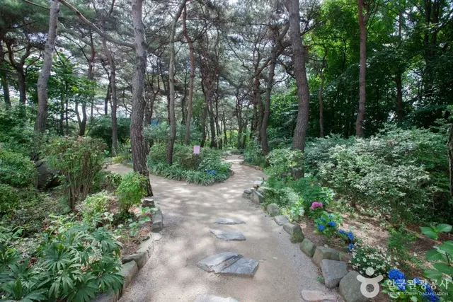 벽초지수목원 사진