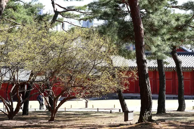 창경궁 사진