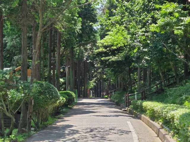 국립남해편백자연휴양림 사진