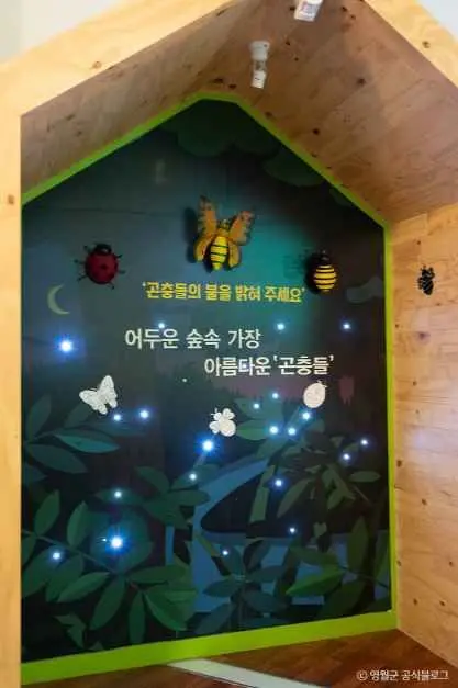 영월곤충박물관 사진