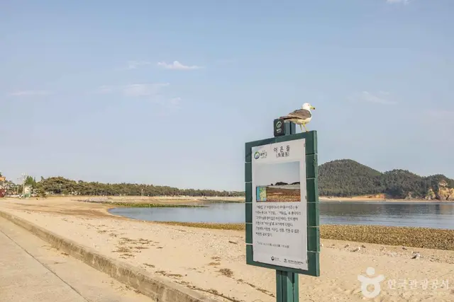 어은돌해수욕장 사진