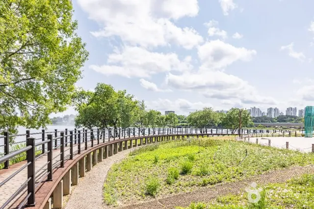 오송호수공원 사진