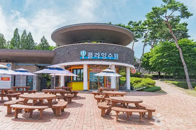 플라잉수원 사진