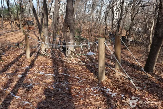 오동근린공원 유아숲체험장 사진