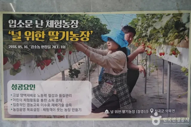 널위한딸기농장 사진