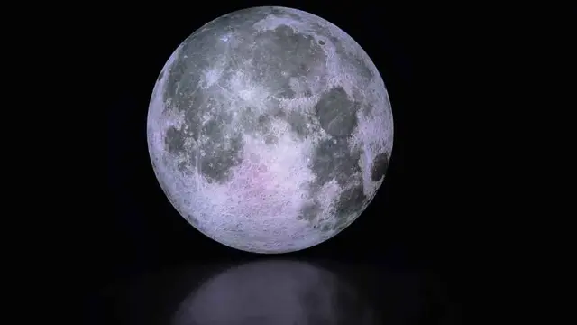 정글미디어파크 사진