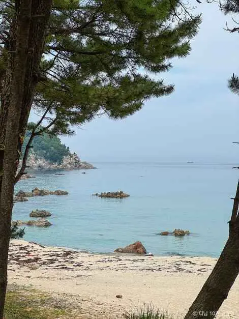 삼척해양레일바이크 사진