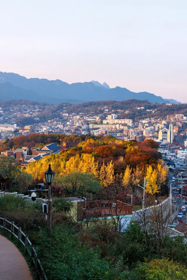 마로니에공원 사진