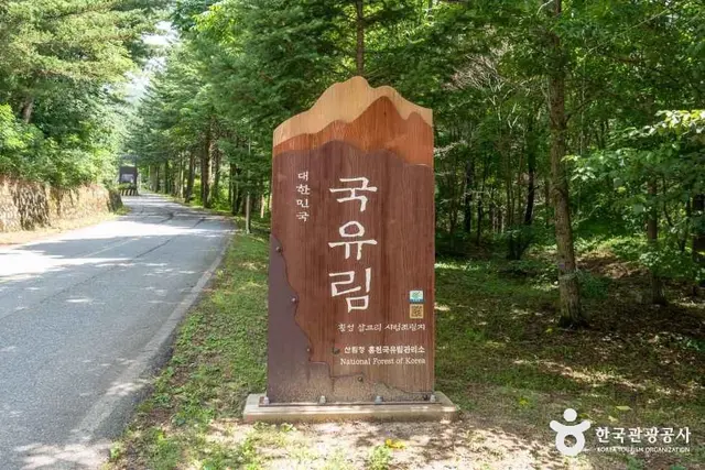 국립 청태산자연휴양림 사진