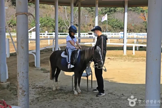 대가야기마문화체험장 사진