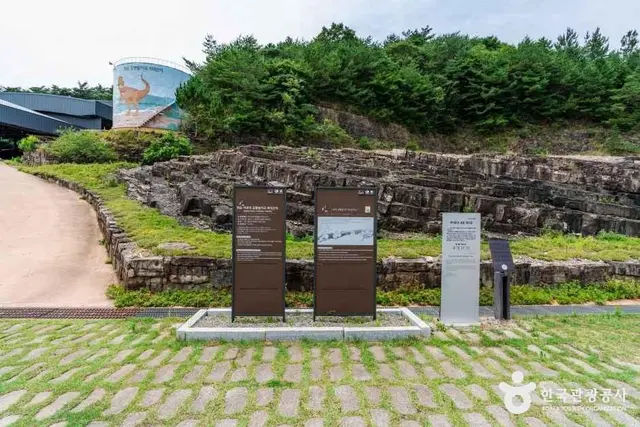 화순 서유리 공룡발자국 화석산지 사진