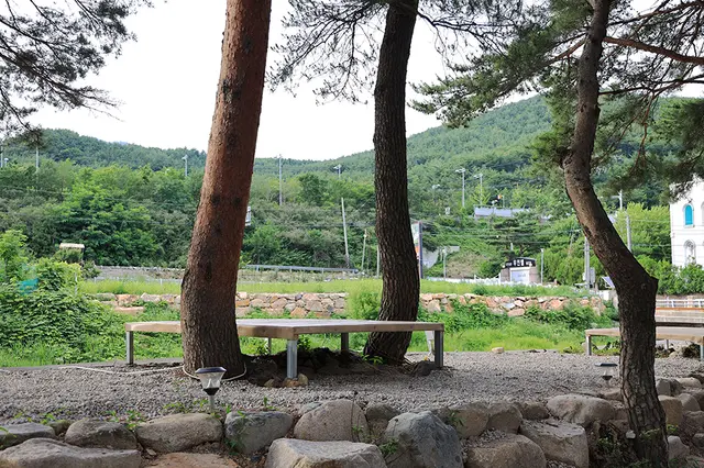 힐링캠프 사진