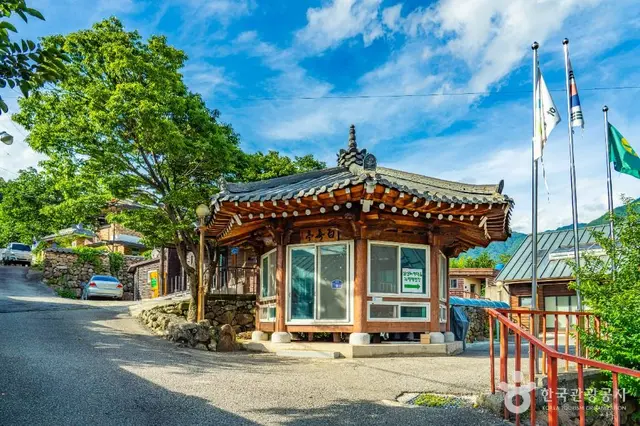 하동 삼신녹차마을 사진
