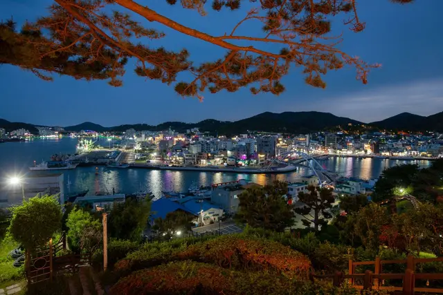 디피랑 사진