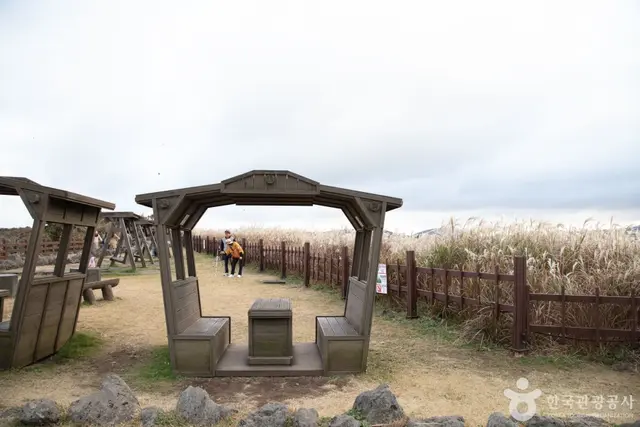 산굼부리 사진