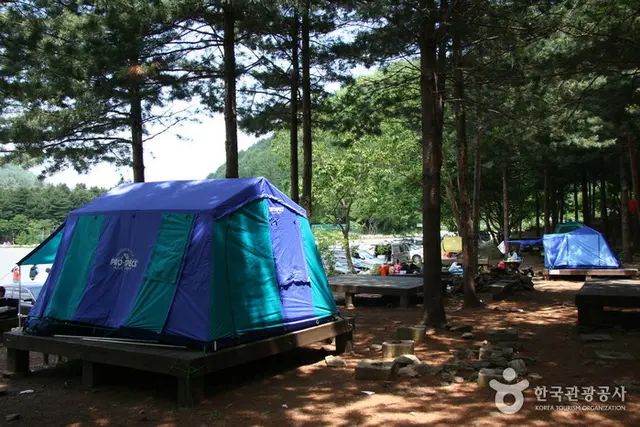 국립 유명산자연휴양림 사진