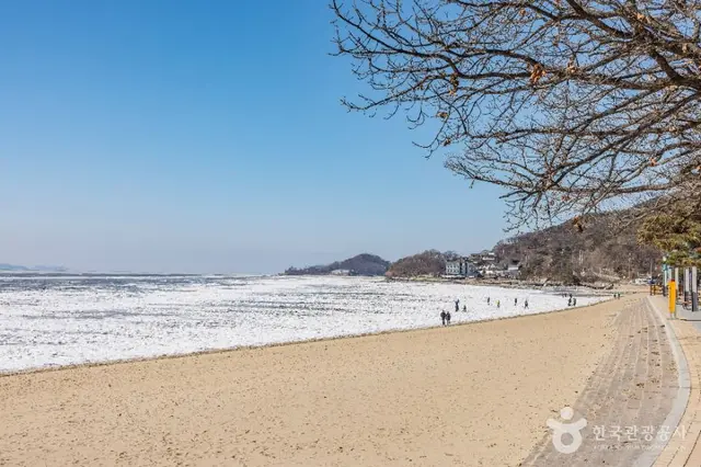 동막해변 사진