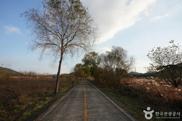 북면수변생태공원 사진