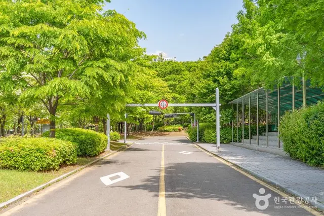 수원어린이교통공원 사진