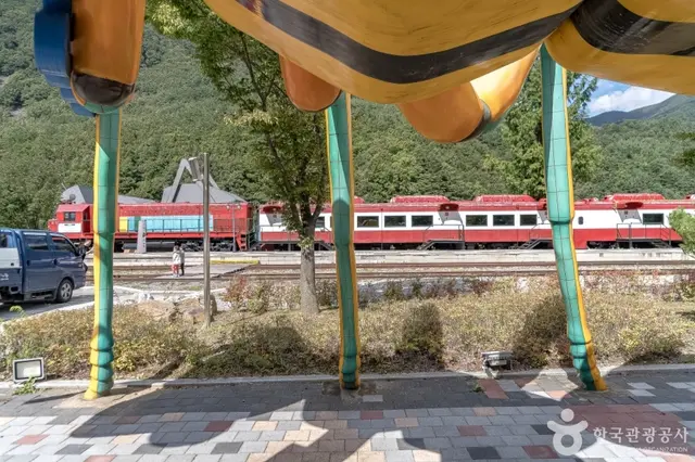 정선벅스랜드 사진
