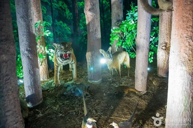 강원특별자치도립화목원 사진