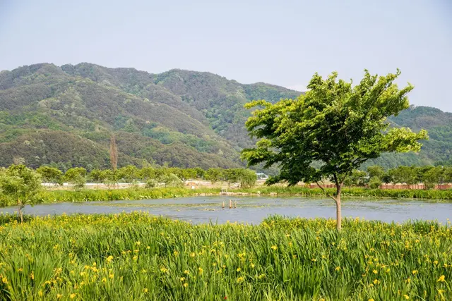거창창포원 사진