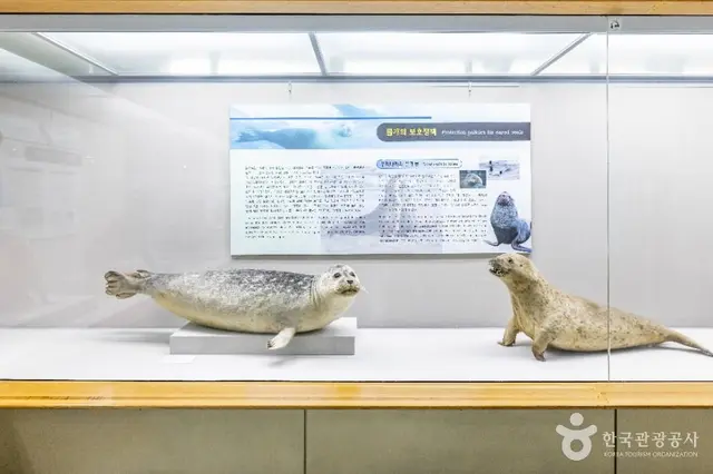 부산해양자연사박물관 사진